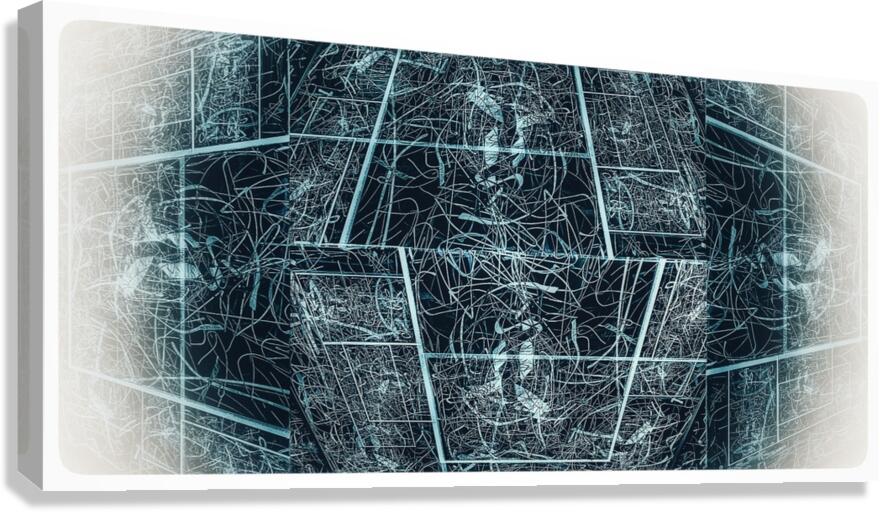 V869 Canvas Print