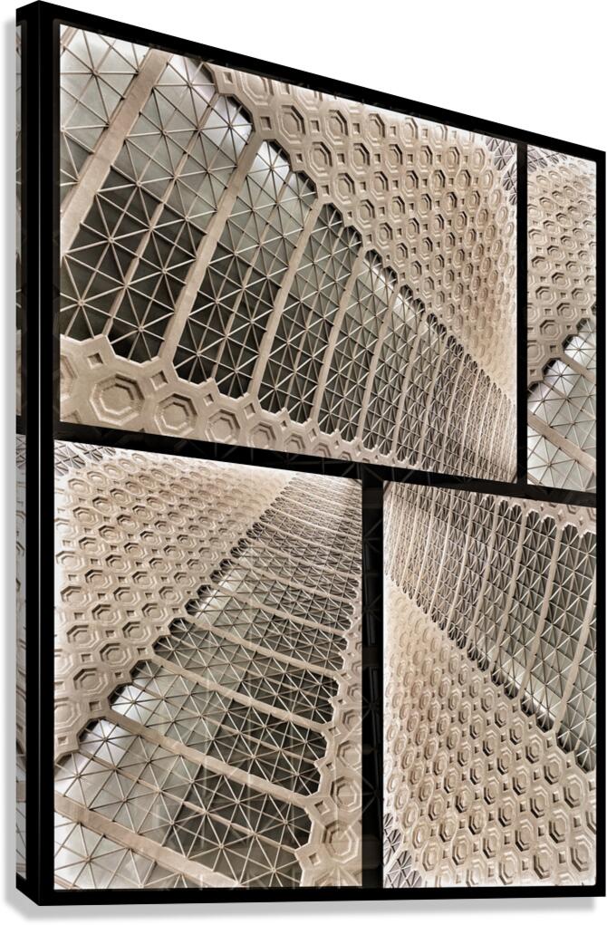 V870 Canvas Print
