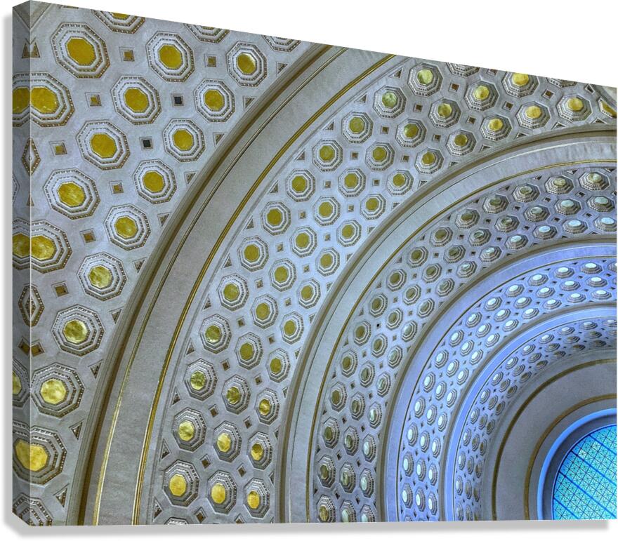 V871 Canvas Print