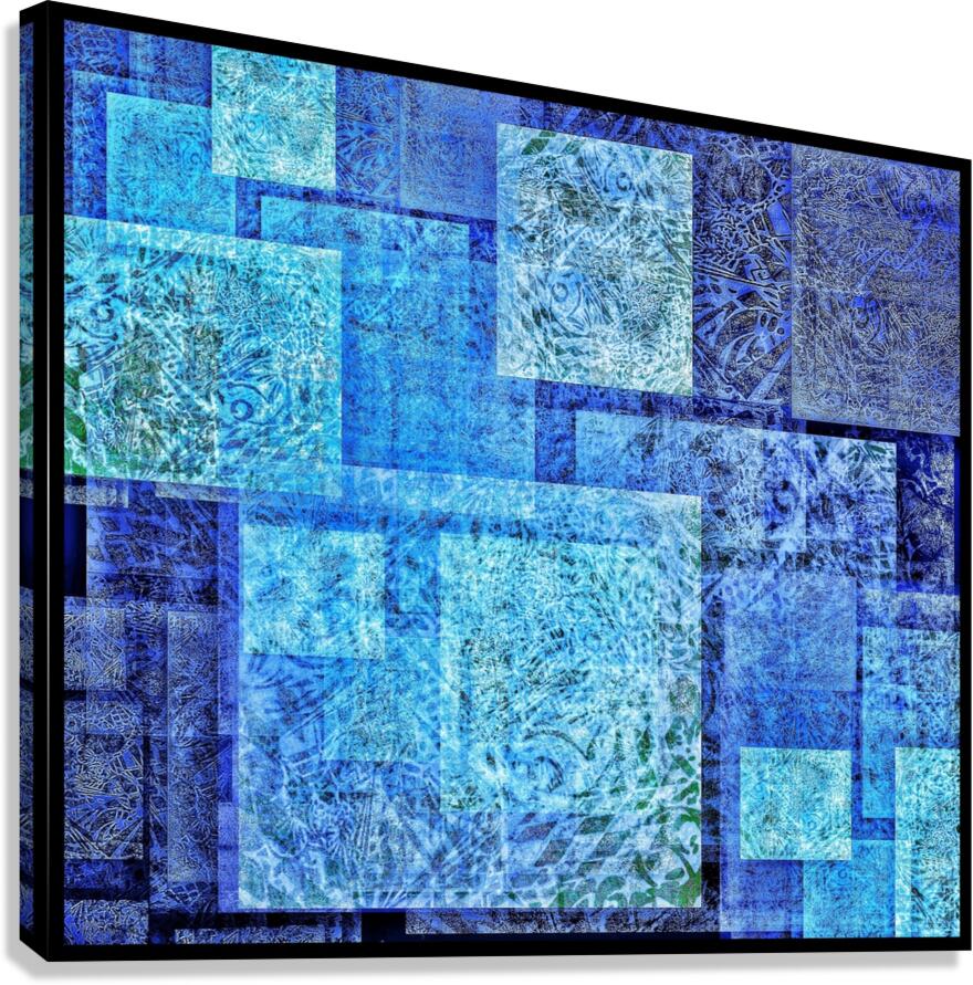V875 Canvas Print