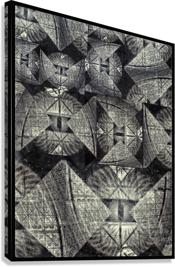 V878 Canvas Print