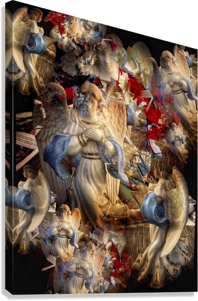 V880 Canvas Print
