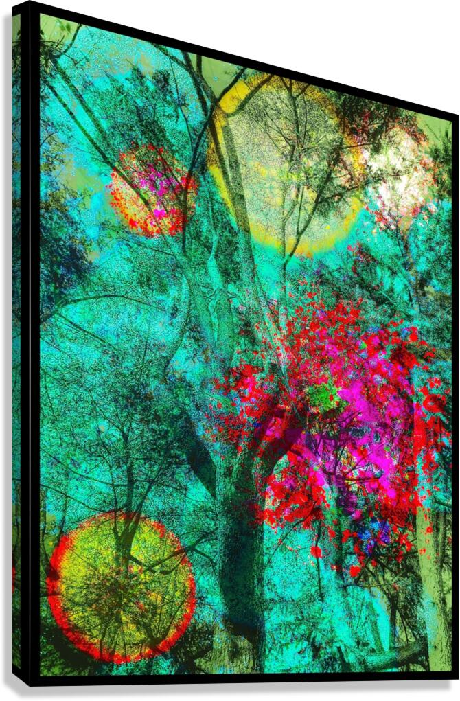 V881 Canvas Print
