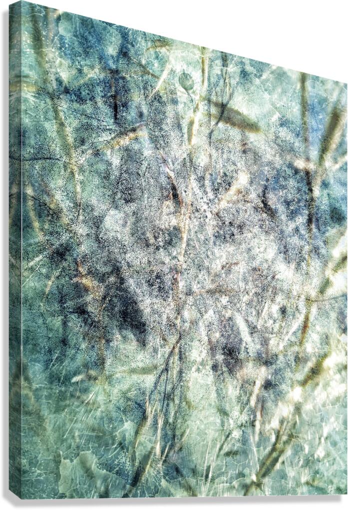 V882 Canvas Print