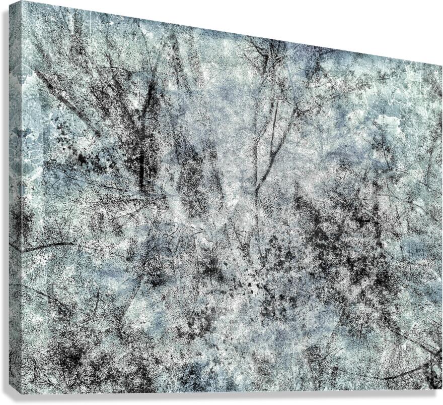 V883 Canvas Print