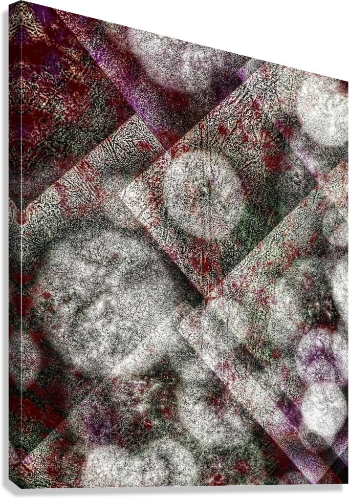 V887 Canvas Print