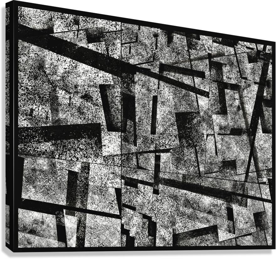 V888 Canvas Print