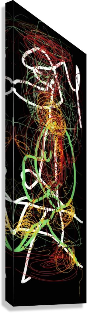 V889 Canvas Print