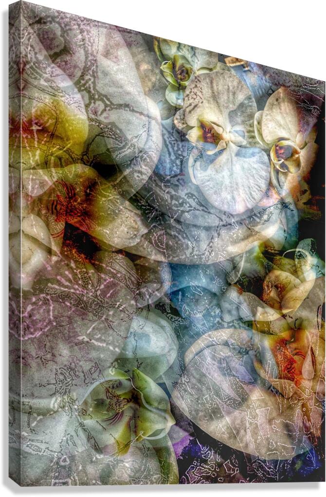 V895 Canvas Print