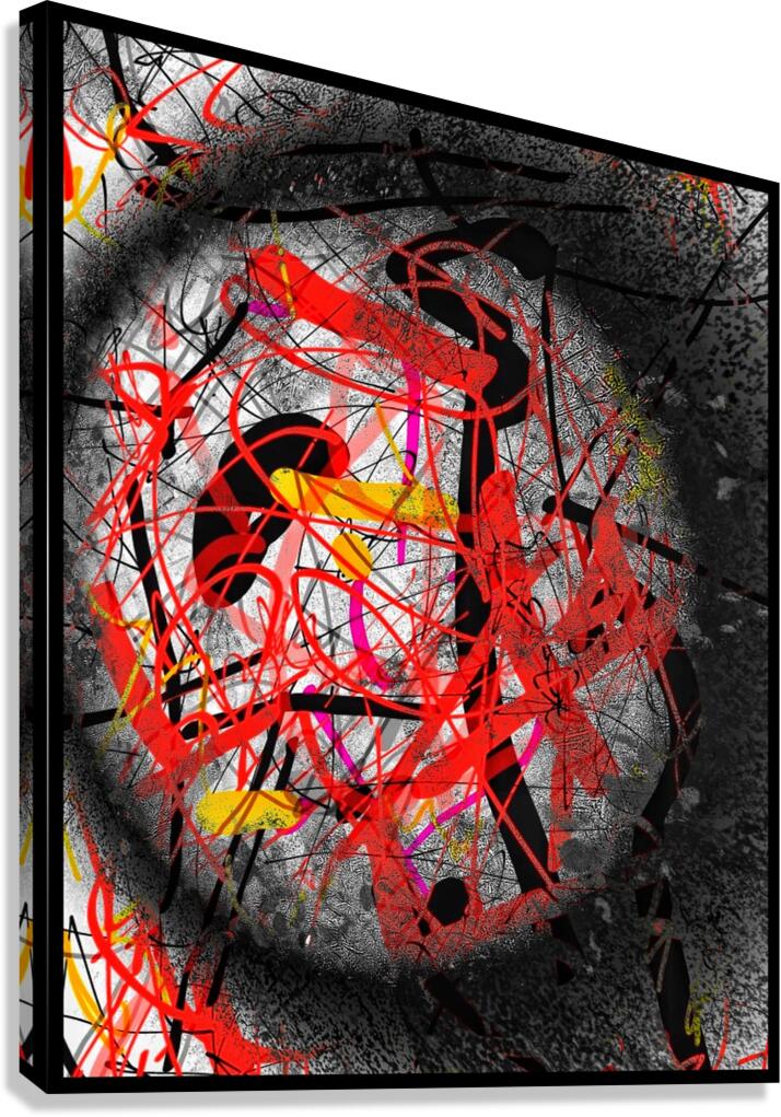 V897 Canvas Print