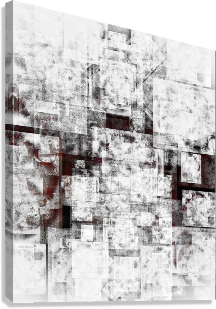 V898 Canvas Print