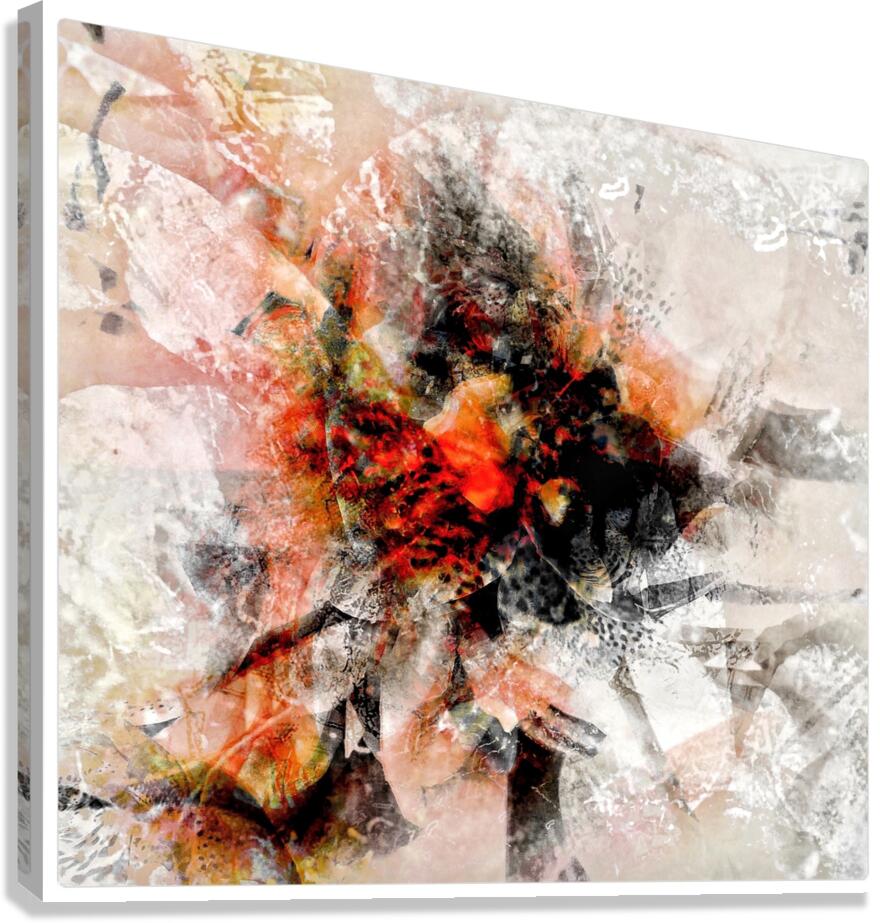 V899 Canvas Print