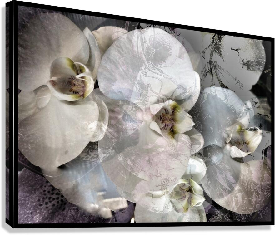 V900 Canvas Print