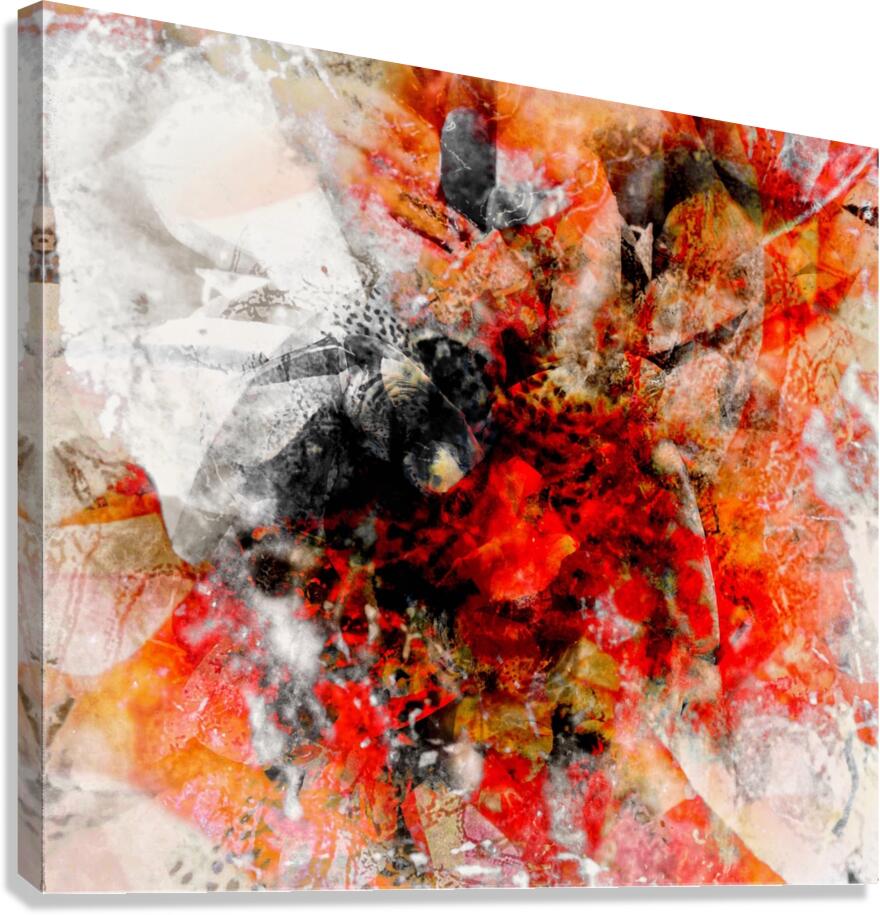 V901 Canvas Print