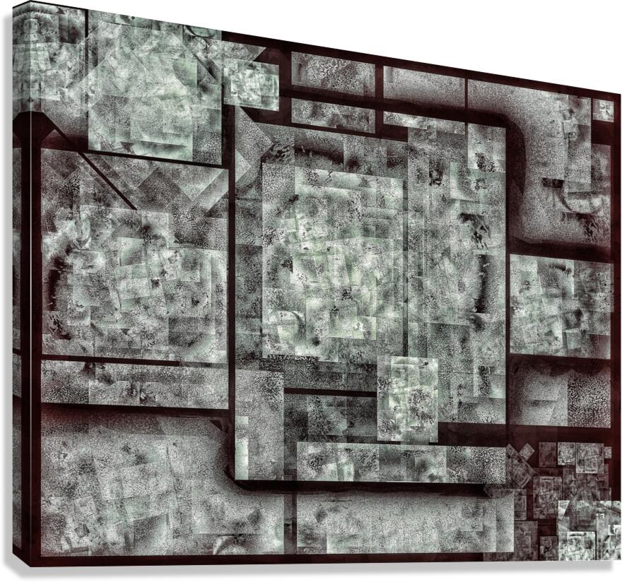 V902 Canvas Print