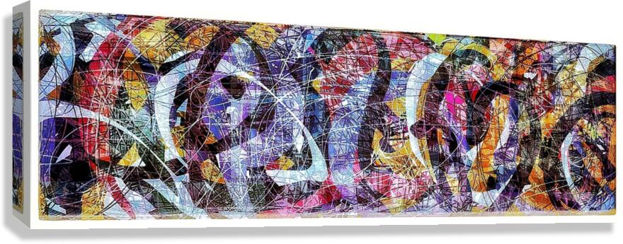 V903 Canvas Print