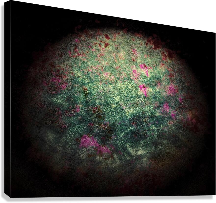 V904 Canvas Print