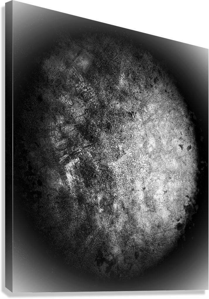 V906 Canvas Print