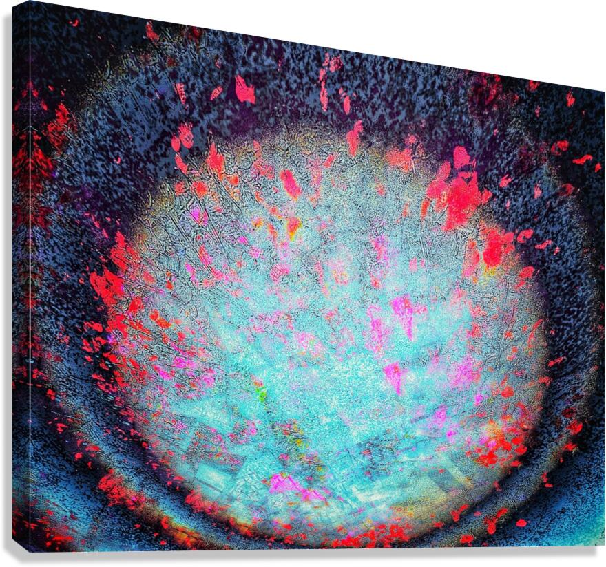 V907 Canvas Print