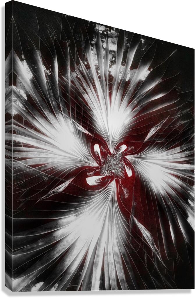 V912 Canvas Print
