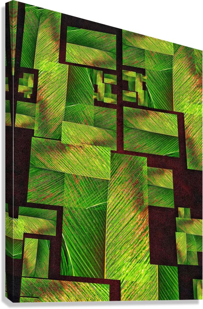  V913 Canvas Print