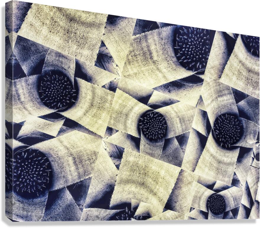 V915 Canvas Print