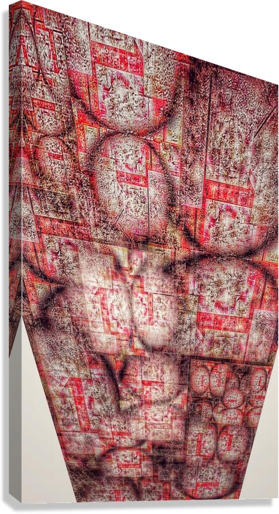 V917 Canvas Print