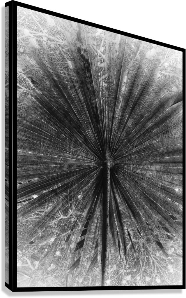V918 Canvas Print