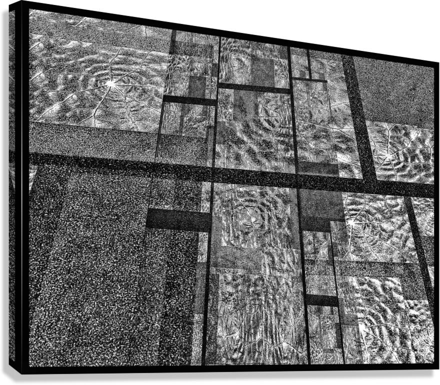 V920 Canvas Print