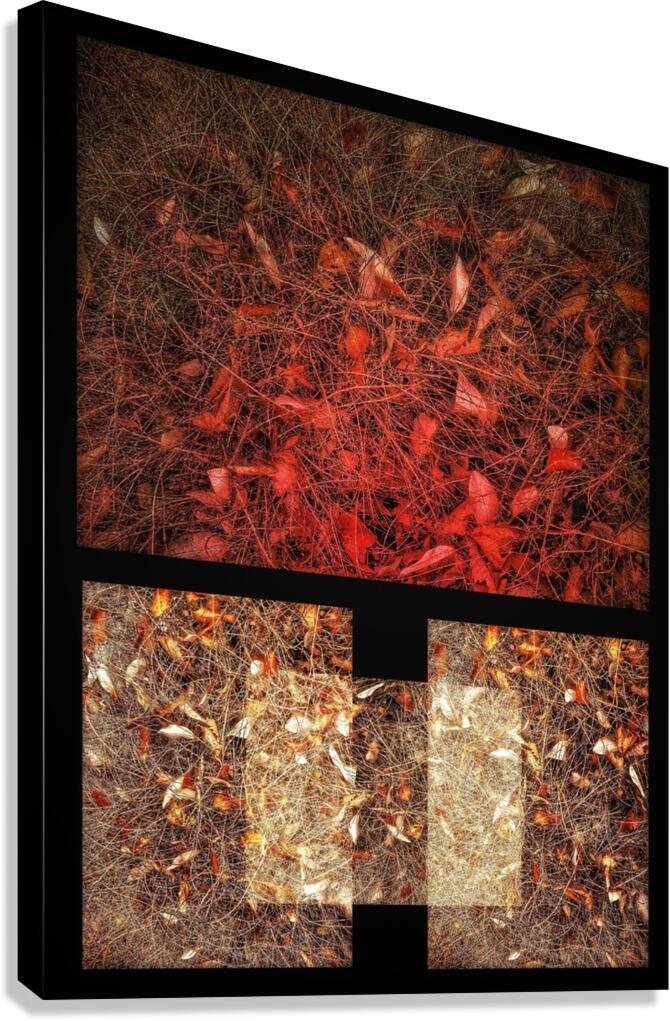 V922 Canvas Print