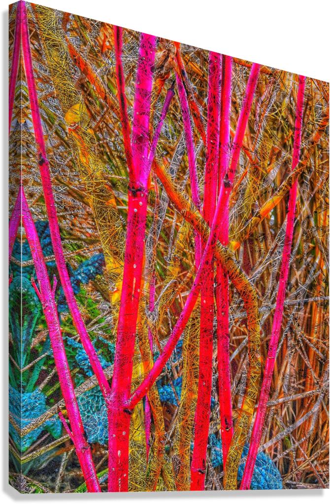 V923 Canvas Print