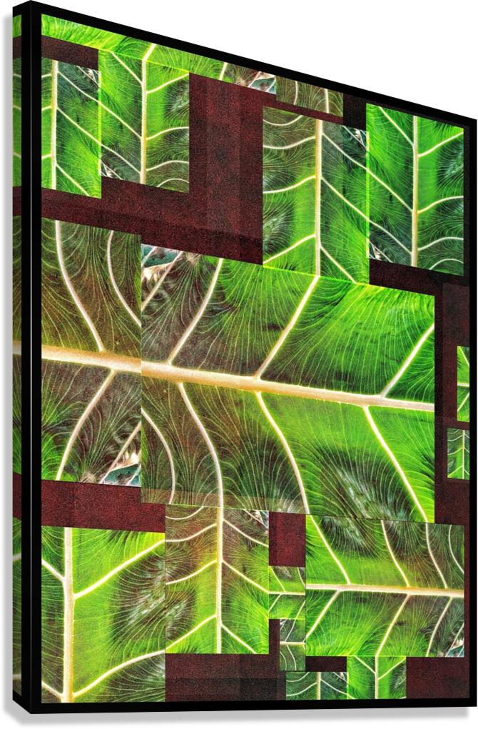 V925 Canvas Print
