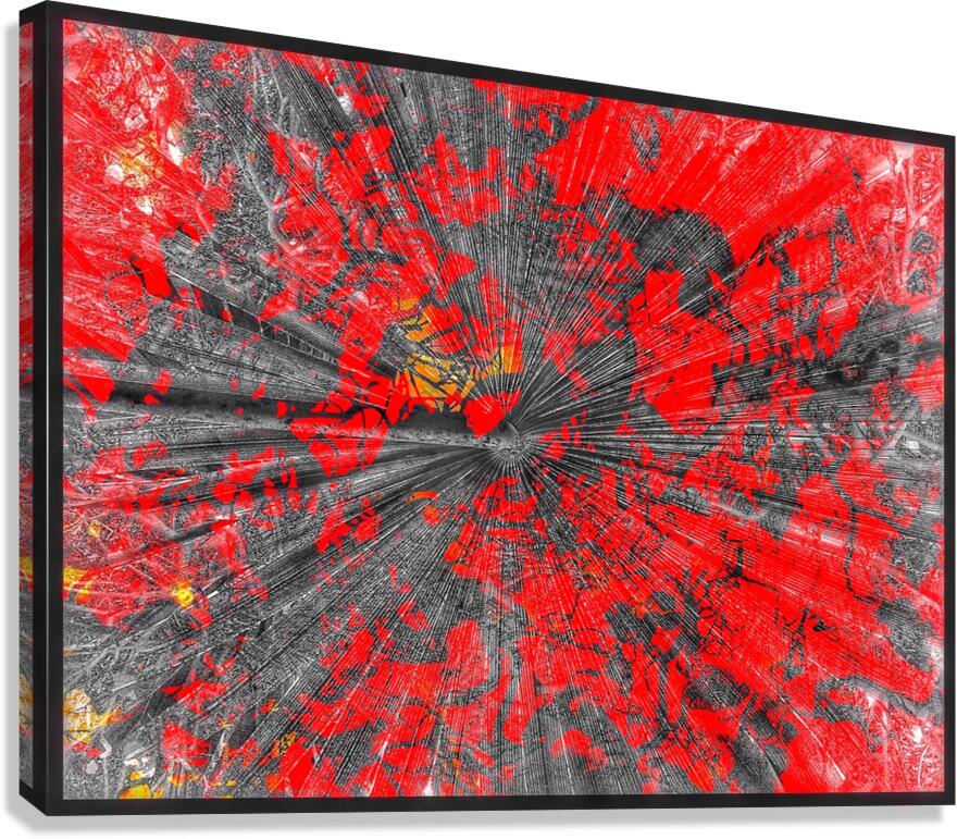 V927 Canvas Print