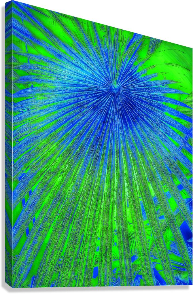 V928 Canvas Print