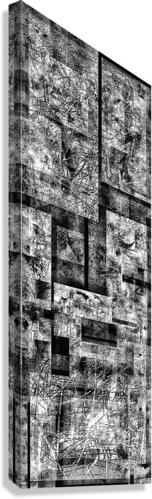 V930 Canvas Print