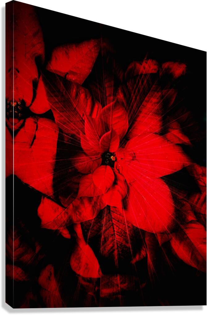 V931 Canvas Print