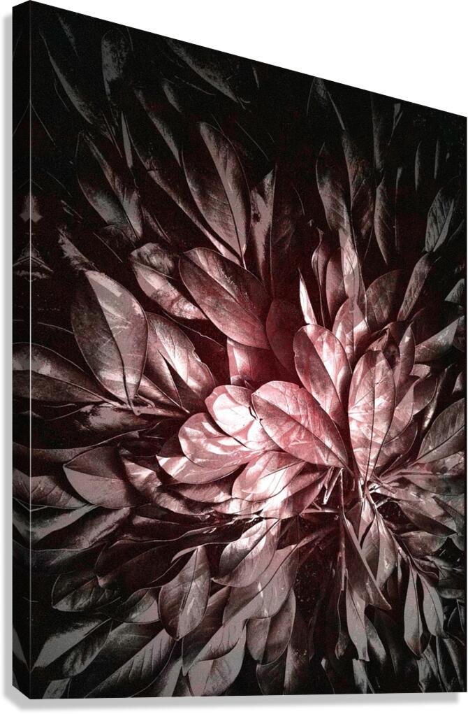 V933 Canvas Print