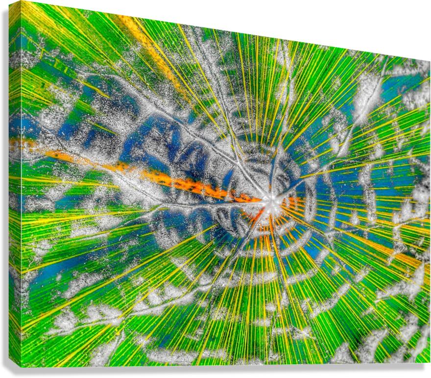 V935 Canvas Print