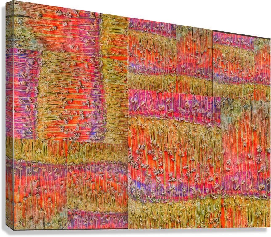 V936 Canvas Print