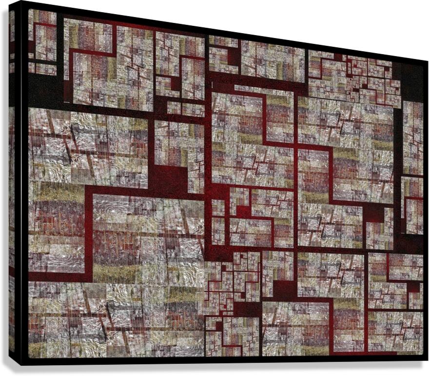 V937 Canvas Print