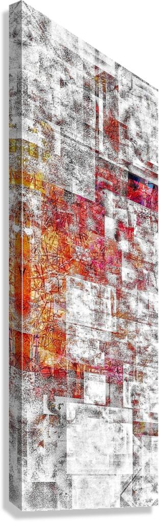 V938 Canvas Print