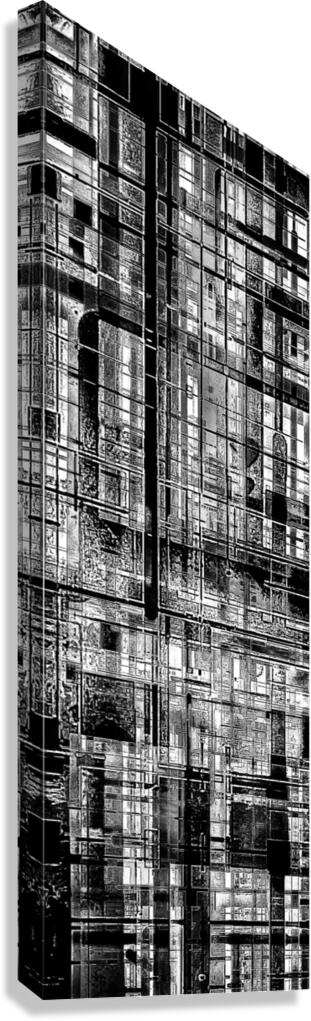 V939 Canvas Print