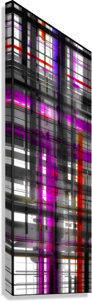 V941 Canvas Print