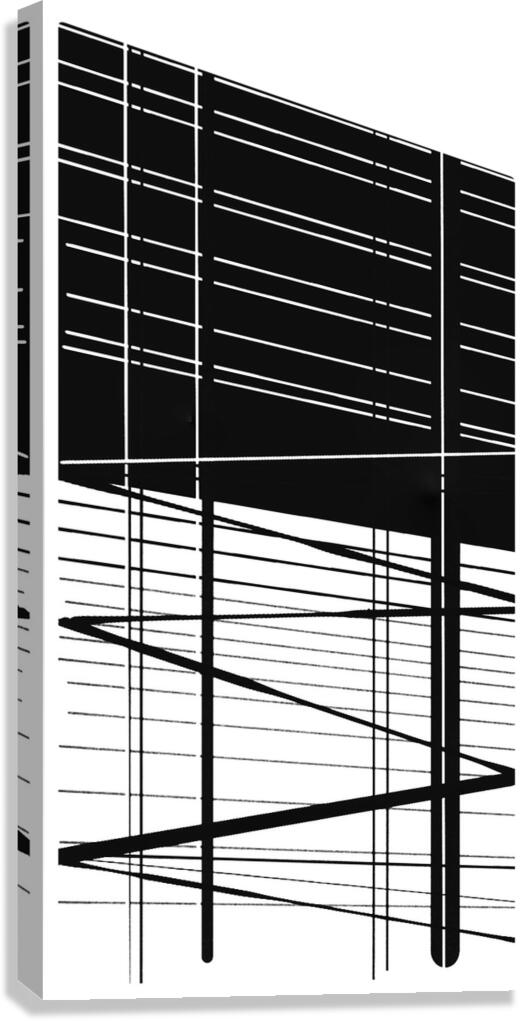 V943 Canvas Print
