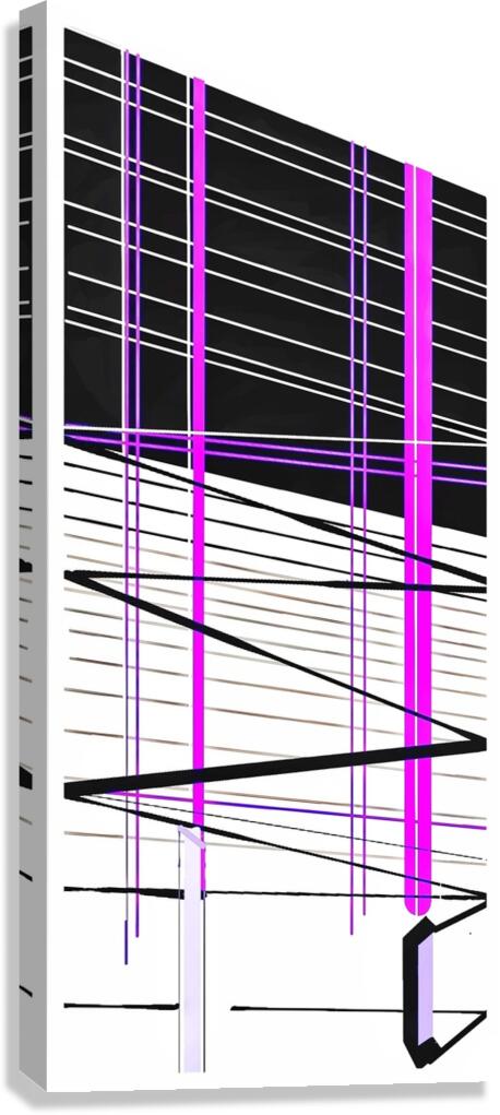 V947 Canvas Print