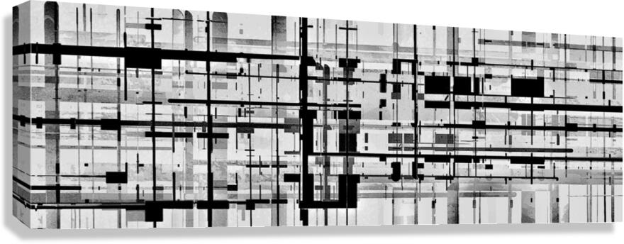 V948 Canvas Print