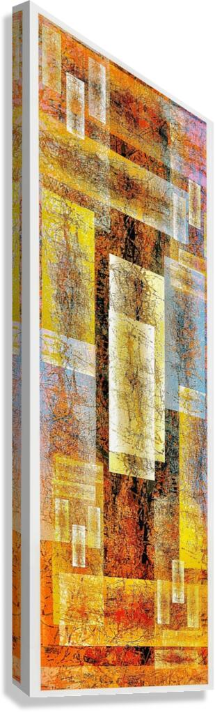 V950 Canvas Print