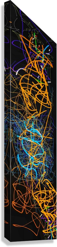 V952 Canvas Print