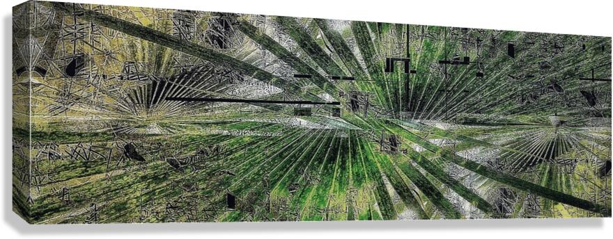 V953 Canvas Print