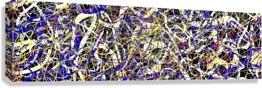 V955 Canvas Print
